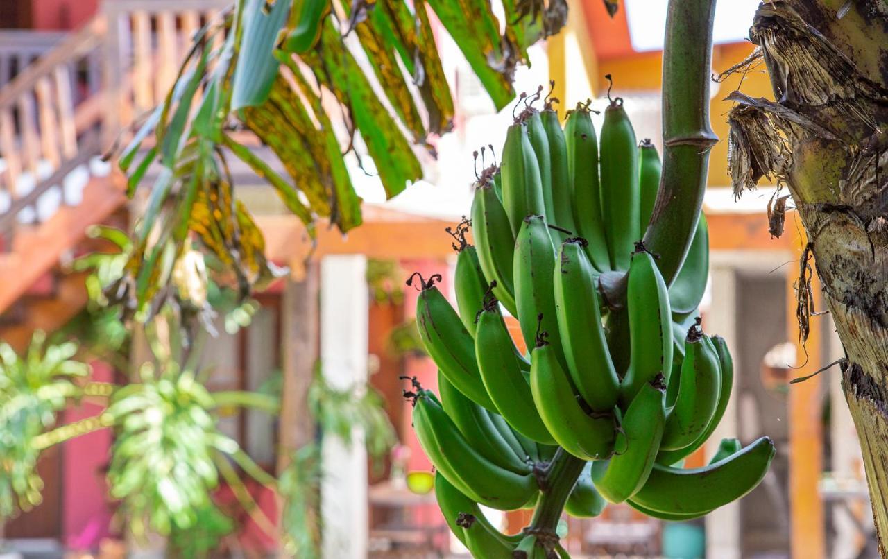 Suites Las Flores Maresias Dış mekan fotoğraf