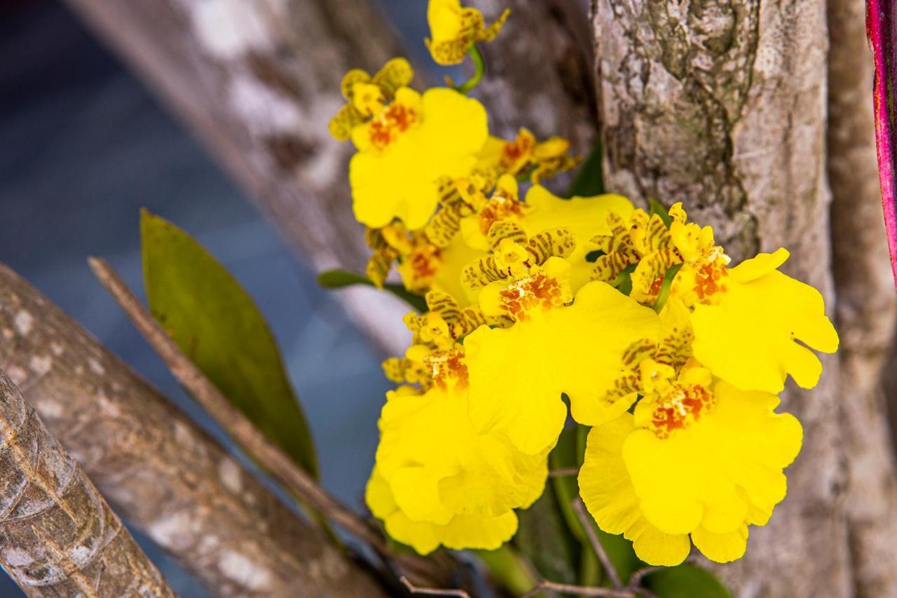 Suites Las Flores Maresias Dış mekan fotoğraf