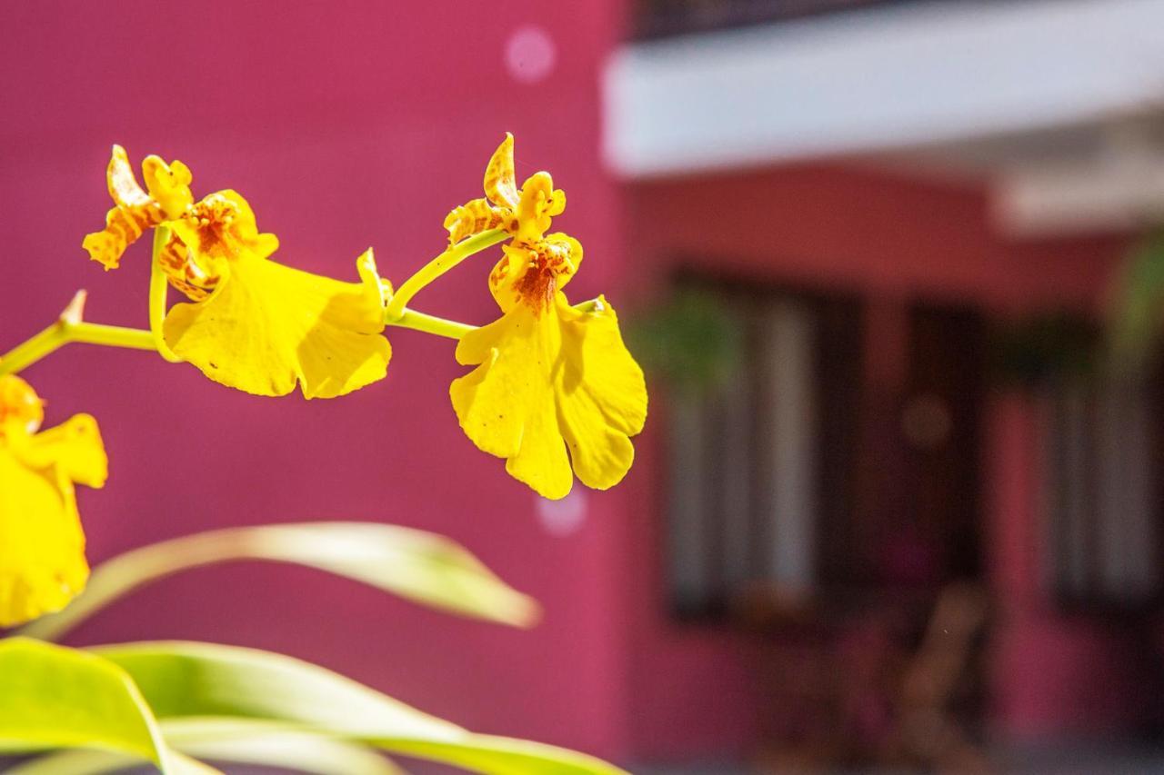 Suites Las Flores Maresias Dış mekan fotoğraf